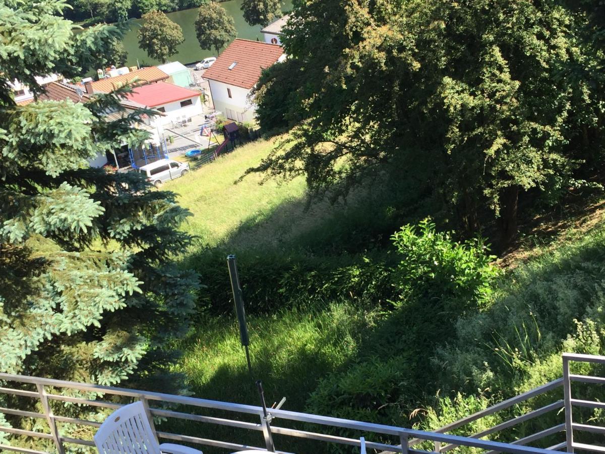 Appartement Luftkurort, Perle Des Neckartals à Hirschhorn Extérieur photo