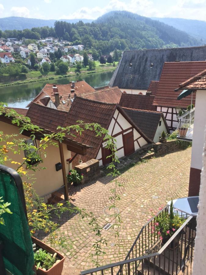 Appartement Luftkurort, Perle Des Neckartals à Hirschhorn Extérieur photo