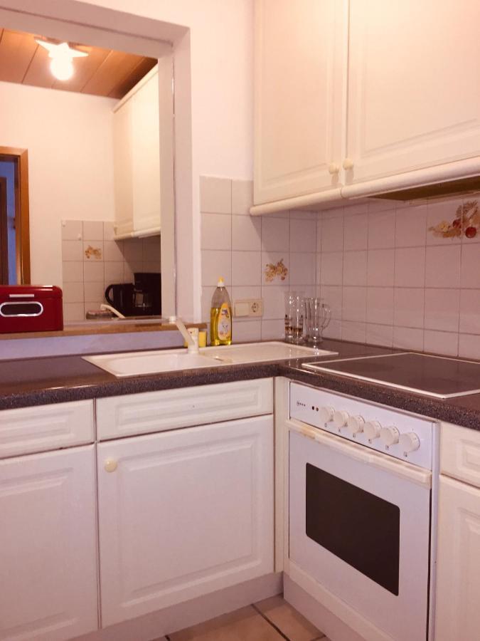 Appartement Luftkurort, Perle Des Neckartals à Hirschhorn Extérieur photo