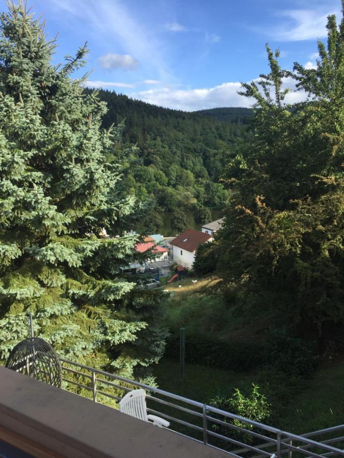Appartement Luftkurort, Perle Des Neckartals à Hirschhorn Extérieur photo