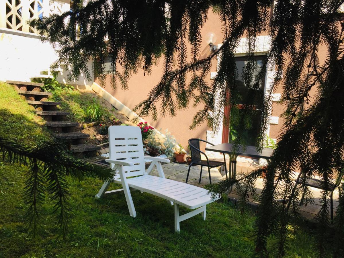 Appartement Luftkurort, Perle Des Neckartals à Hirschhorn Extérieur photo