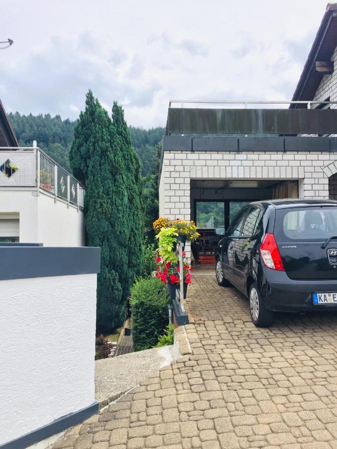 Appartement Luftkurort, Perle Des Neckartals à Hirschhorn Extérieur photo