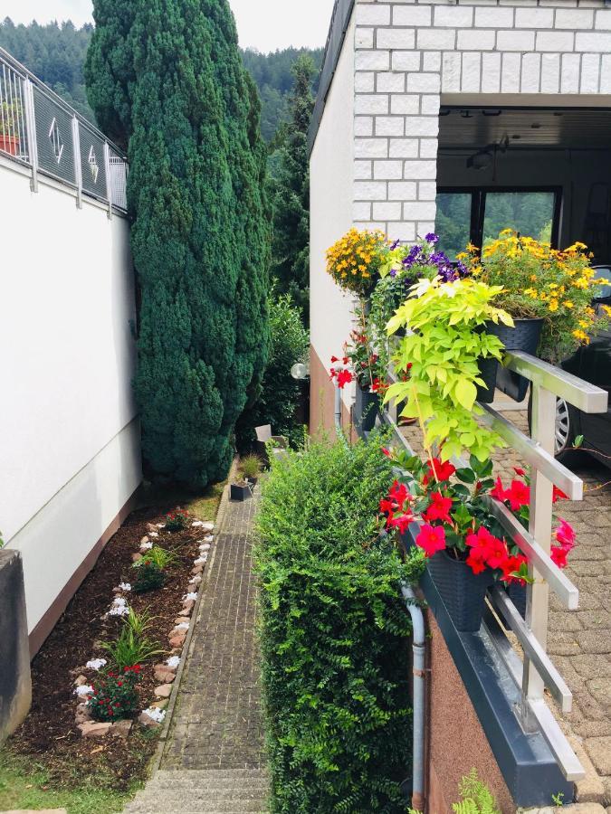 Appartement Luftkurort, Perle Des Neckartals à Hirschhorn Extérieur photo