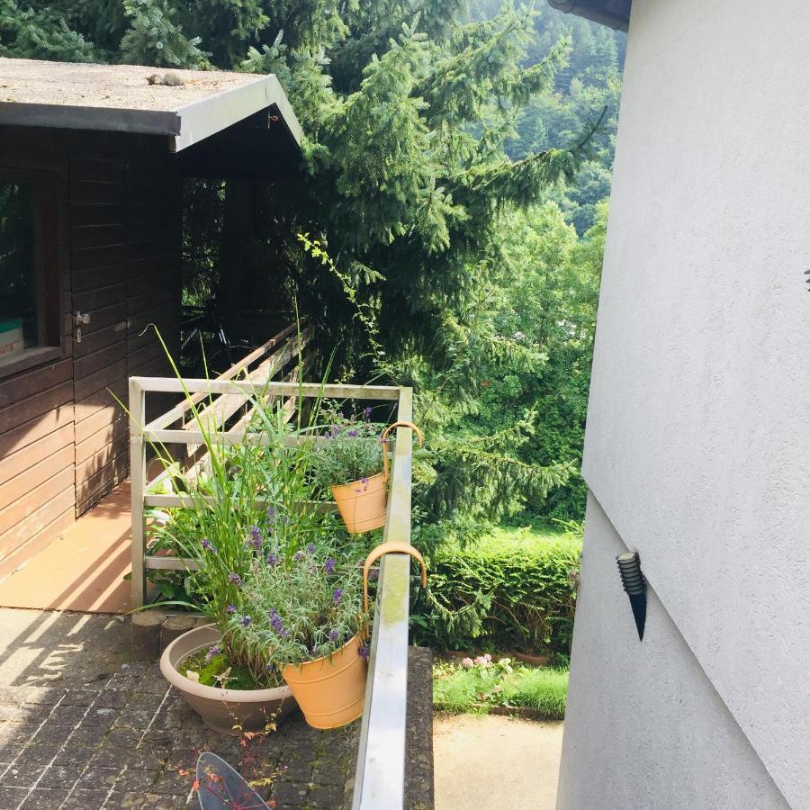 Appartement Luftkurort, Perle Des Neckartals à Hirschhorn Extérieur photo