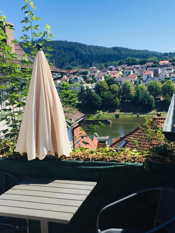 Appartement Luftkurort, Perle Des Neckartals à Hirschhorn Extérieur photo