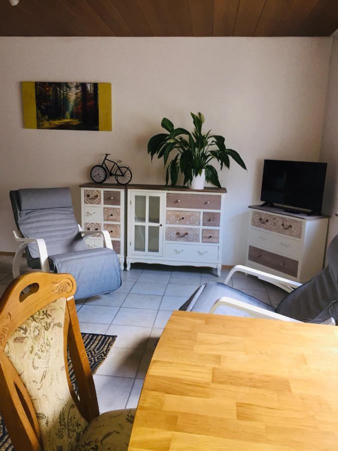 Appartement Luftkurort, Perle Des Neckartals à Hirschhorn Extérieur photo