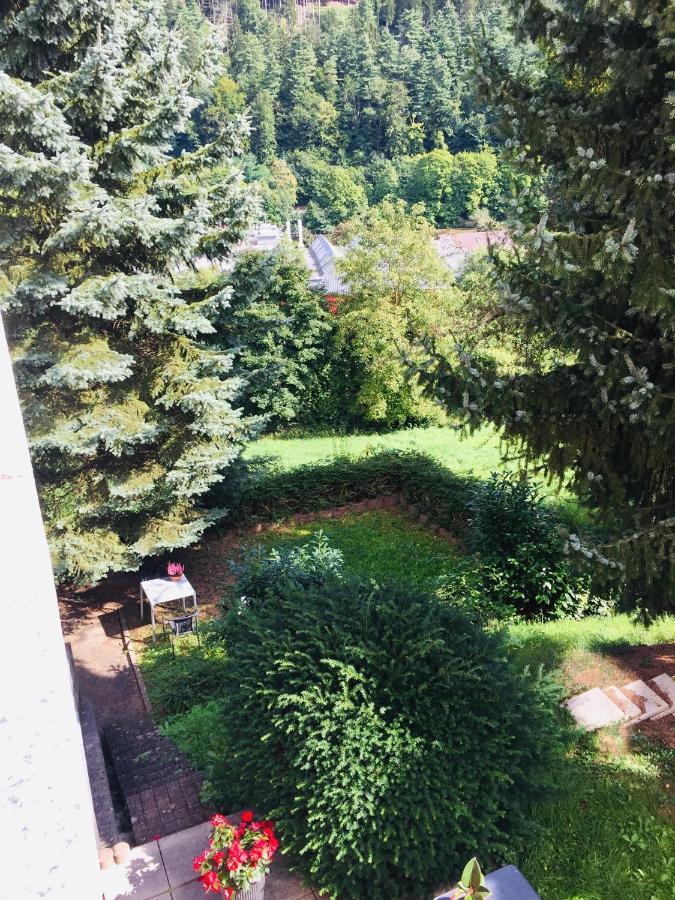 Appartement Luftkurort, Perle Des Neckartals à Hirschhorn Extérieur photo