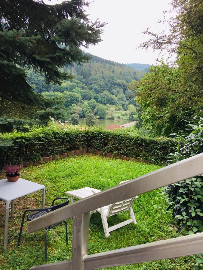 Appartement Luftkurort, Perle Des Neckartals à Hirschhorn Extérieur photo
