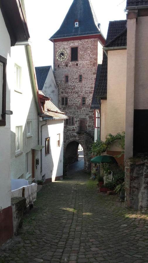 Appartement Luftkurort, Perle Des Neckartals à Hirschhorn Extérieur photo