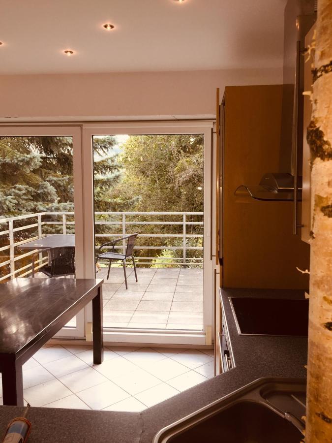 Appartement Luftkurort, Perle Des Neckartals à Hirschhorn Extérieur photo