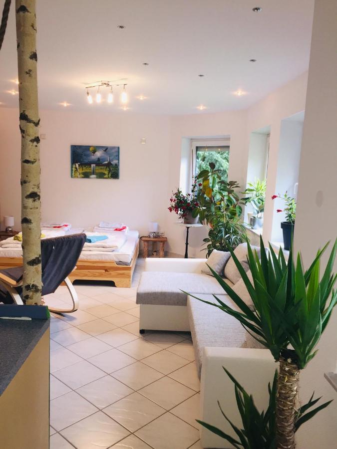 Appartement Luftkurort, Perle Des Neckartals à Hirschhorn Extérieur photo