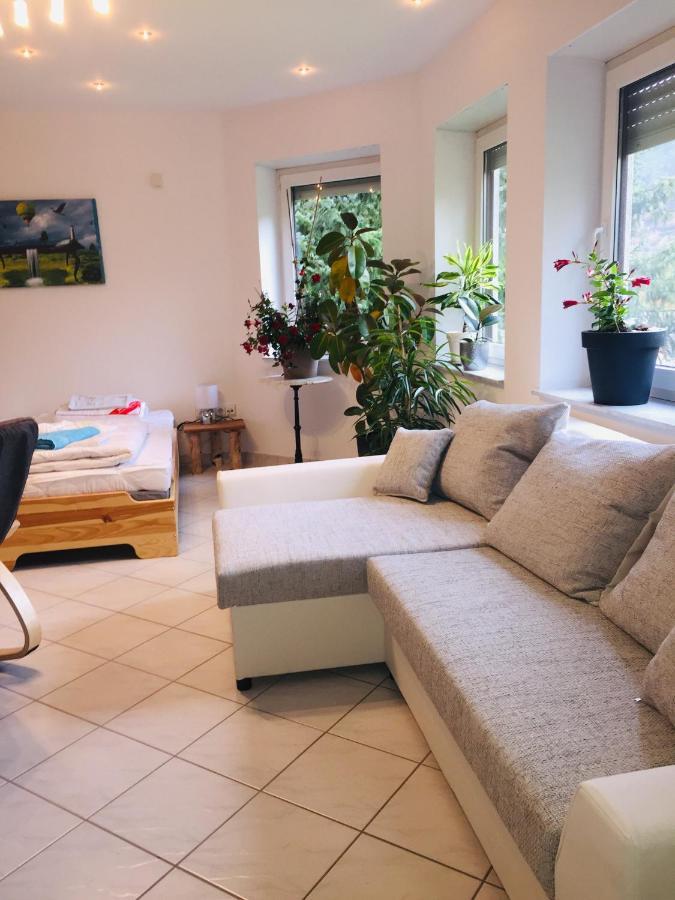 Appartement Luftkurort, Perle Des Neckartals à Hirschhorn Extérieur photo
