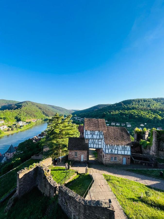 Appartement Luftkurort, Perle Des Neckartals à Hirschhorn Extérieur photo